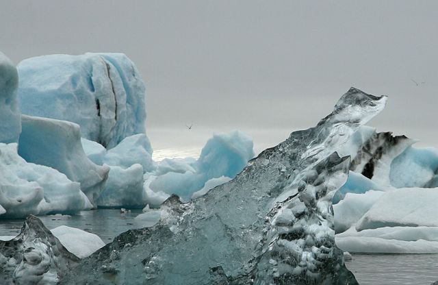 The beauty and splendor of icebergs (110 pics)