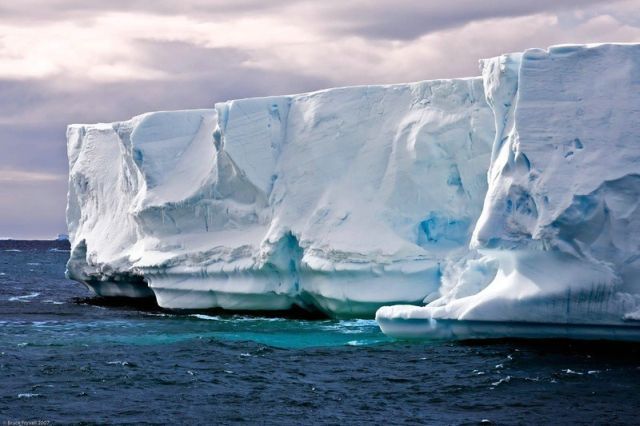 The beauty and splendor of icebergs (110 pics)