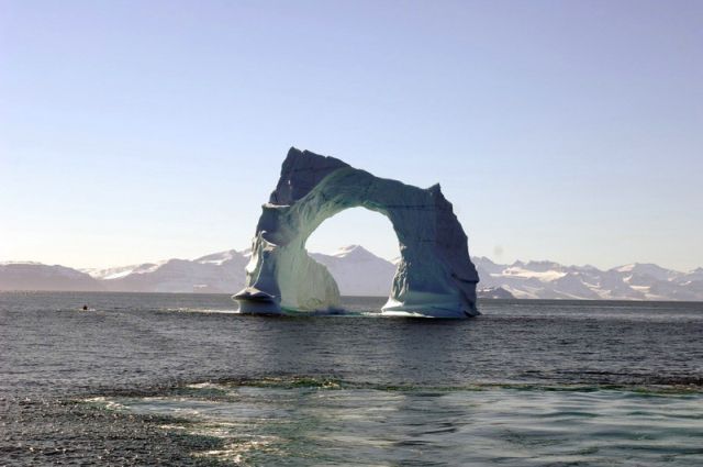 The beauty and splendor of icebergs (110 pics)
