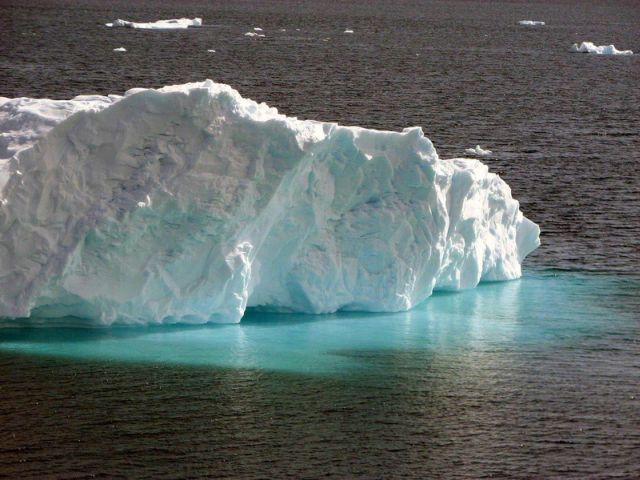 The beauty and splendor of icebergs (110 pics)