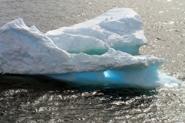 The beauty and splendor of icebergs (110 pics)