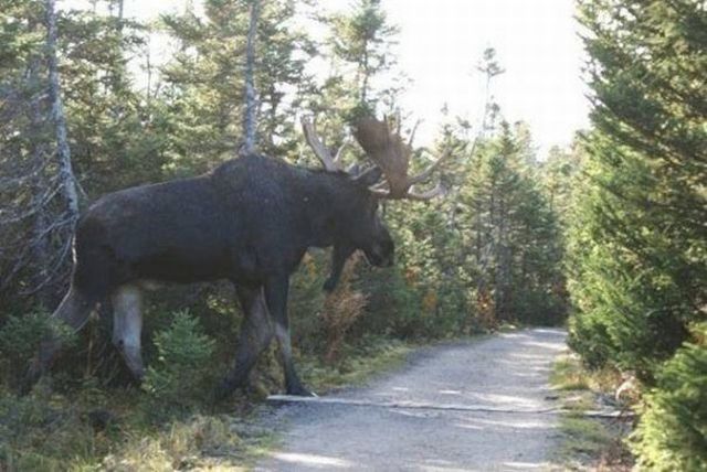 Daily picdump (118 pics)
