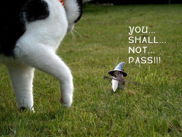 Daily picdump (118 pics)