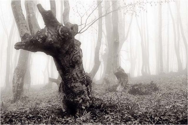 Stanislav Odyagailo ve Surreal Yaşam
