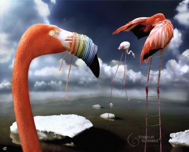 Stanislav Odyagailo ve Surreal Yaşam