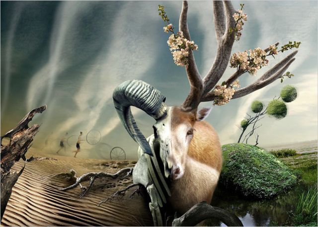 Stanislav Odyagailo ve Surreal Yaşam