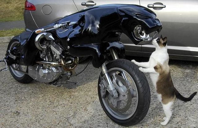 Daily picdump (114 pics)
