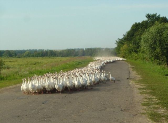 Daily picdump (114 pics)