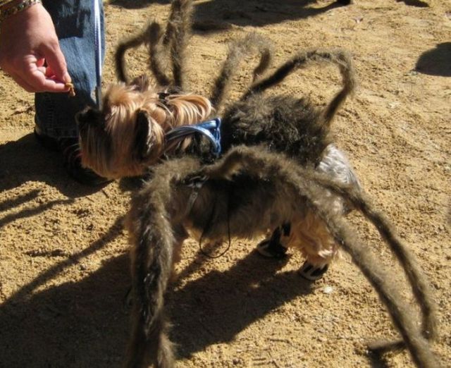 Daily picdump (114 pics)