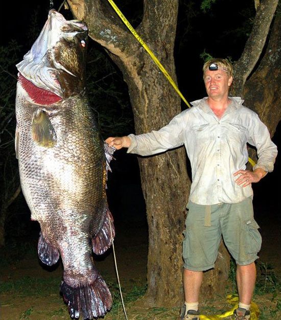 Daily picdump (114 pics)