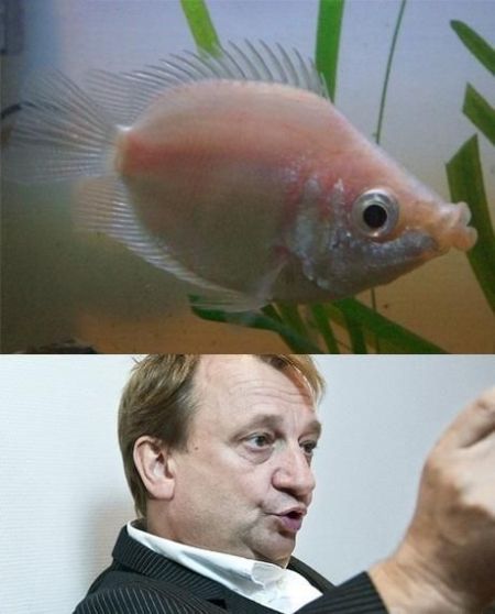 Daily picdump (114 pics)