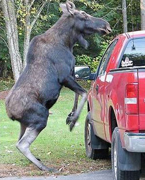 Daily picdump (114 pics)