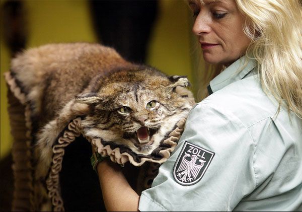 Daily picdump (114 pics)