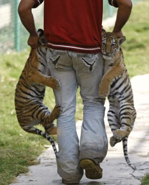 Daily picdump (104 pics)