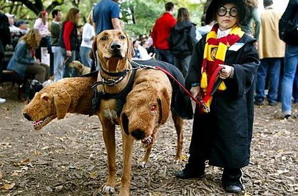 Daily picdump (104 pics)