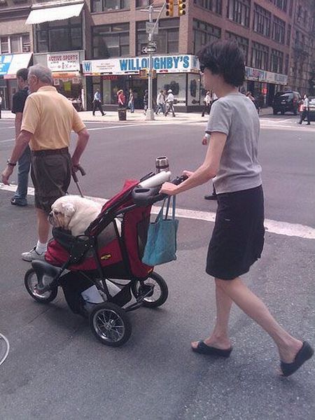 Daily picdump (104 pics)