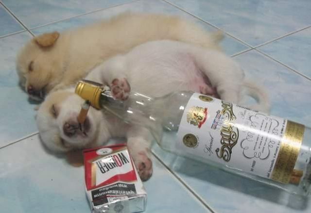 Daily picdump (104 pics)
