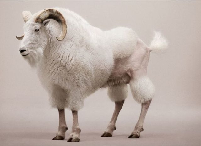 Daily picdump (104 pics)
