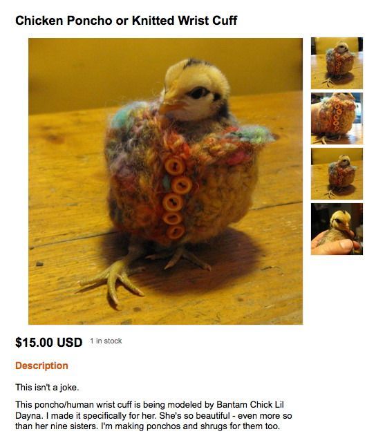 Daily picdump (104 pics)