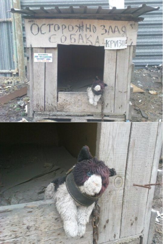 Daily picdump (104 pics)