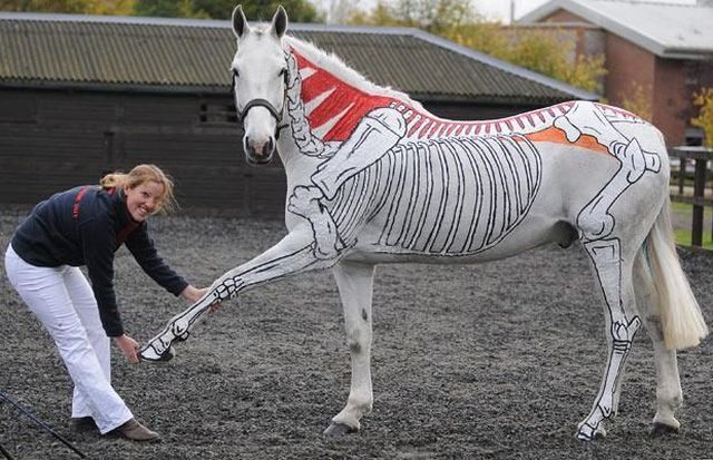 Daily picdump (104 pics)
