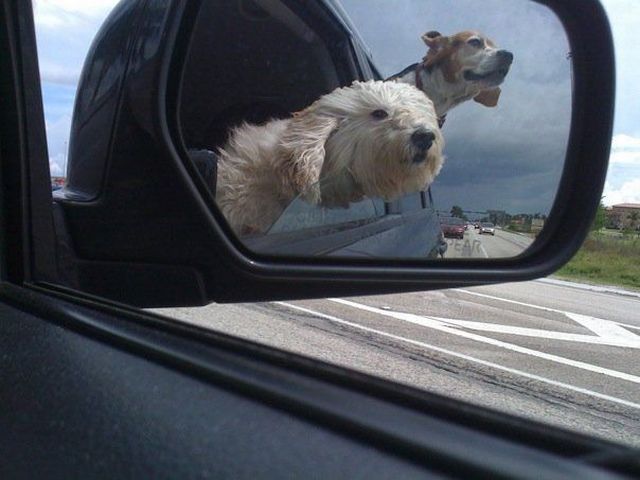 Daily picdump (104 pics)