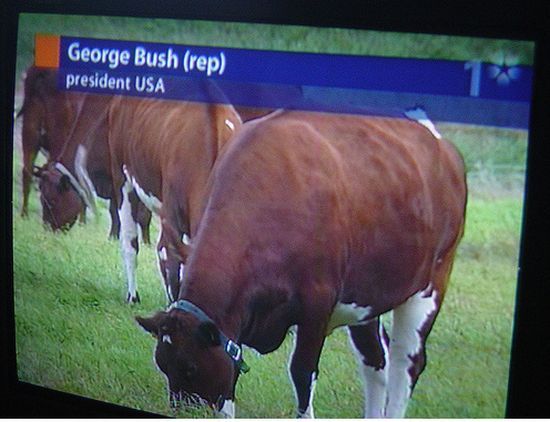 Funny News Captions (50 pics)