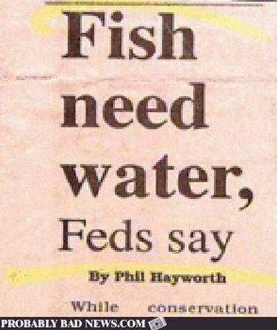 Funny News Captions (50 pics)