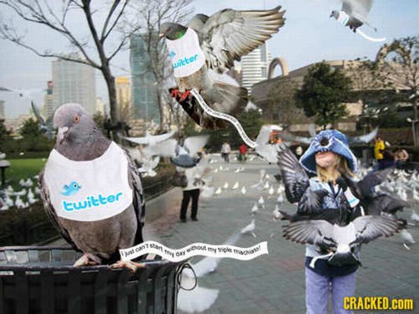 Living without the Internet...OMG (20 pics)
