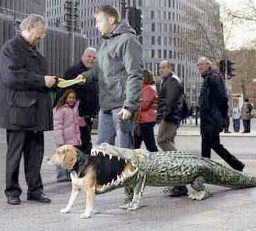 Crazy Halloween costumes for dogs (17 pics)