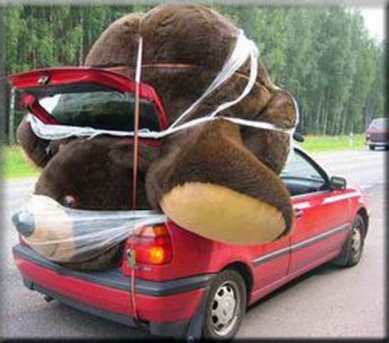 Daily picdump (151 pics)