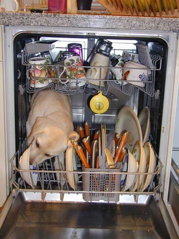 Daily picdump (151 pics)