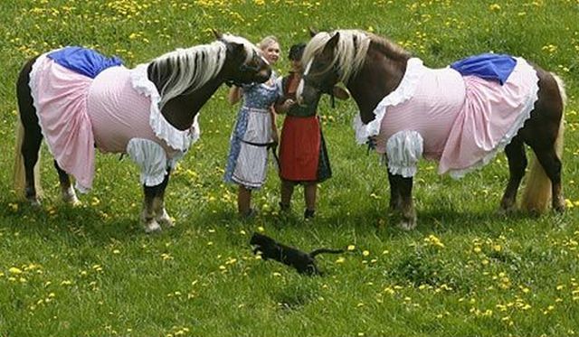 Daily picdump (151 pics)