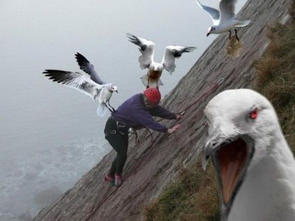 Daily picdump (151 pics)