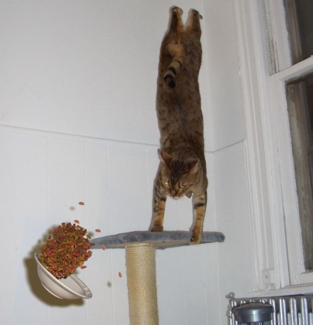 Daily picdump (151 pics)