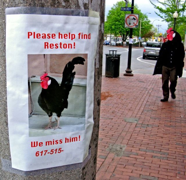 Daily picdump (151 pics)