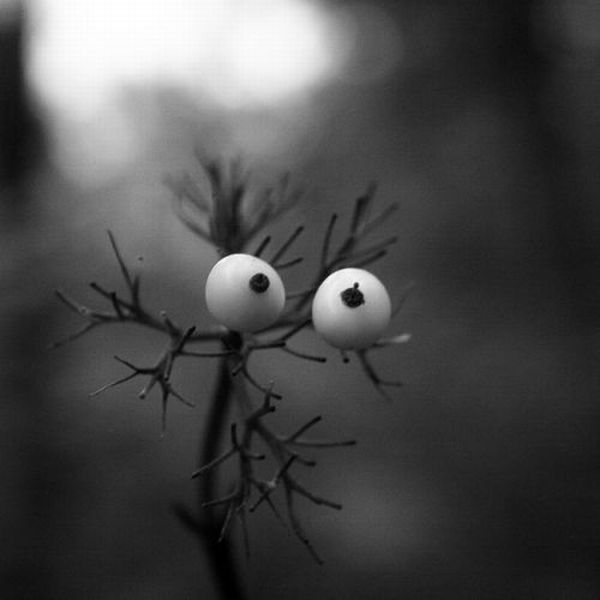Daily picdump (151 pics)