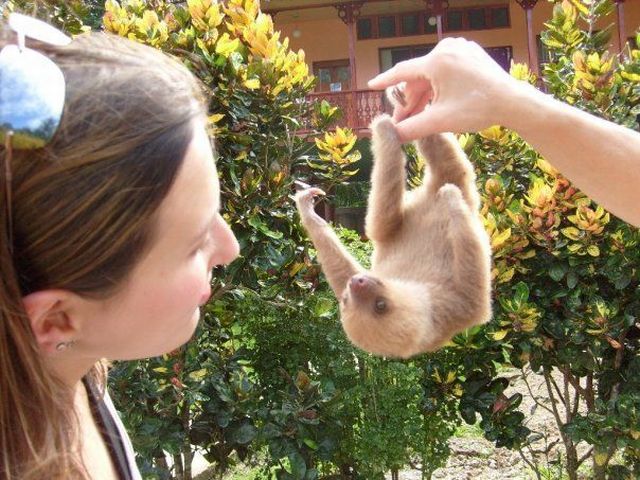 Daily picdump (151 pics)