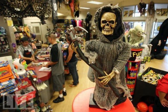 Daily picdump (151 pics)