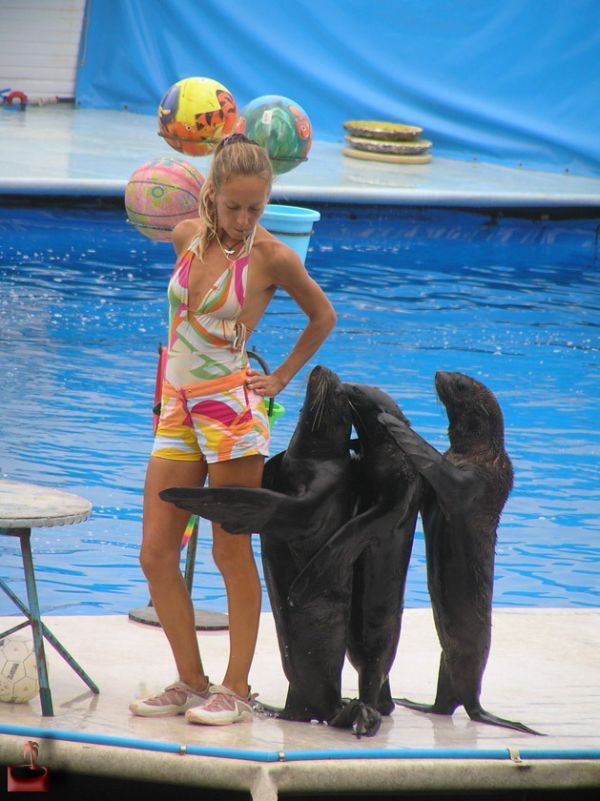Daily picdump (151 pics)