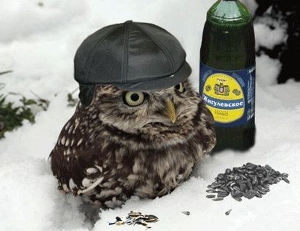 Daily picdump (151 pics)