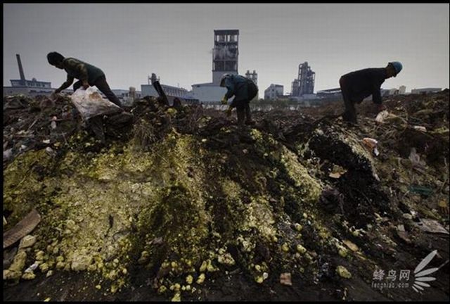 "Pollution in China", Documentary Project of Photographer Lu Guang (35 pics)