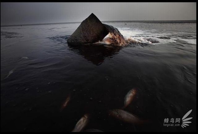 "Pollution in China", Documentary Project of Photographer Lu Guang (35 pics)