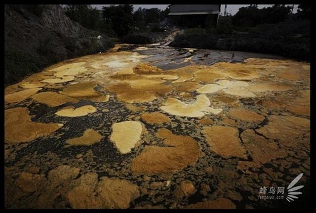 "Pollution in China", Documentary Project of Photographer Lu Guang (35 pics)