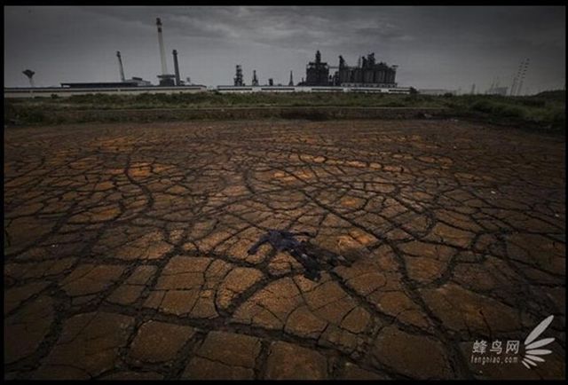 "Pollution in China", Documentary Project of Photographer Lu Guang (35 pics)