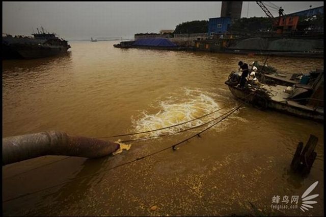"Pollution in China", Documentary Project of Photographer Lu Guang (35 pics)