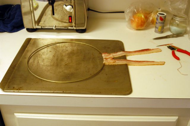 Unusual Lamp Shade Made with Bacon! (12 pics)