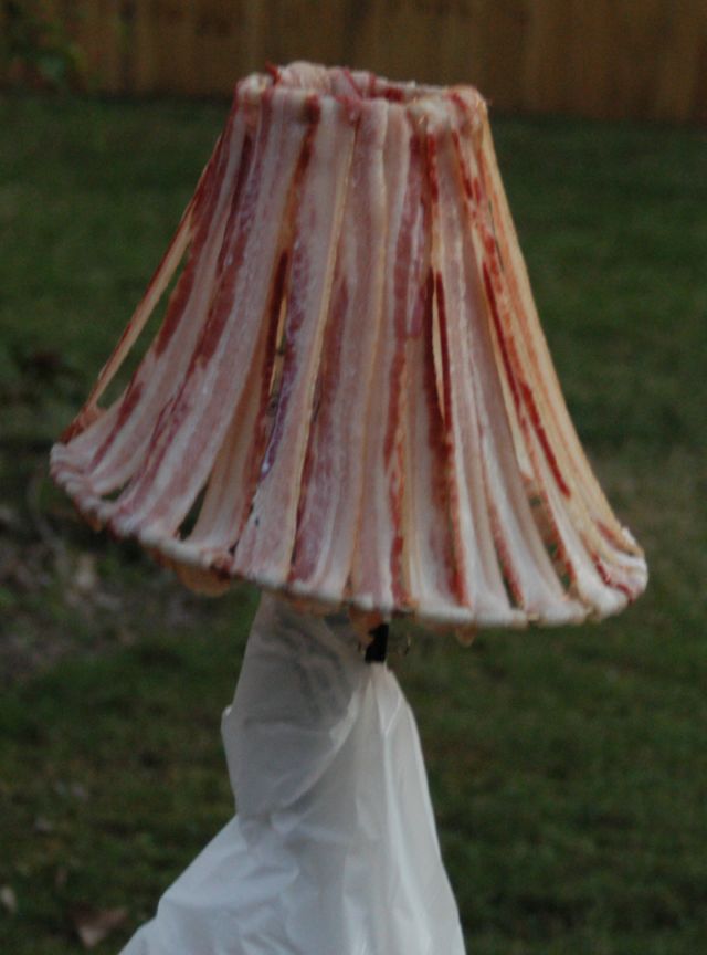 Unusual Lamp Shade Made with Bacon! (12 pics)