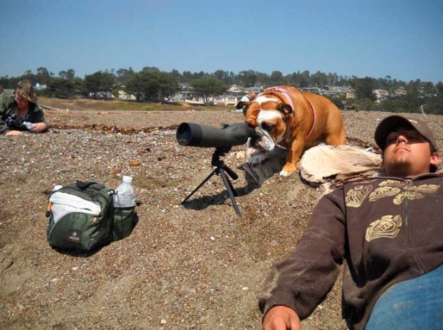 Daily picdump (138 pics)