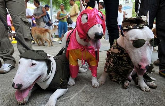 Daily picdump (138 pics)